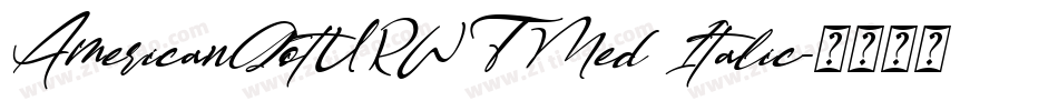 AmericanGotURWTMed Italic字体转换